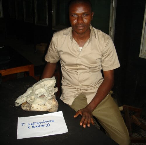 Uzoma Ejimadu, Collaborator - African Aquatic Conservation Fund