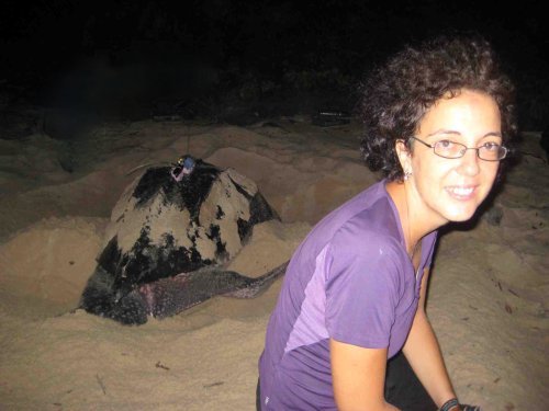Angela Formia, Director of African Sea Turtles - African Aquatic Conservation Fund